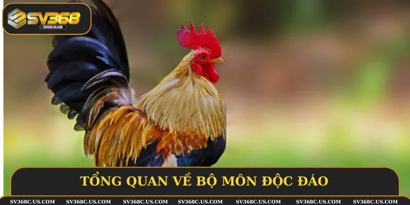 Tổng quan về bộ môn độc đáo